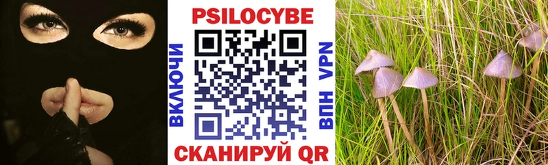 Галлюциногенные грибы мухоморы Питкяранта